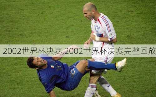 2002世界杯决赛,2002世界杯决赛完整回放