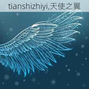 tianshizhiyi,天使之翼