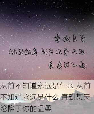 从前不知道永远是什么,从前不知道永远是什么 直到某天沦陷于你的温柔