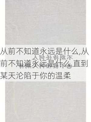 从前不知道永远是什么,从前不知道永远是什么 直到某天沦陷于你的温柔