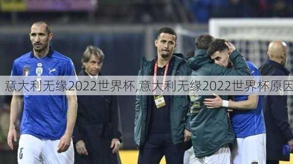 意大利无缘2022世界杯,意大利无缘2022世界杯原因