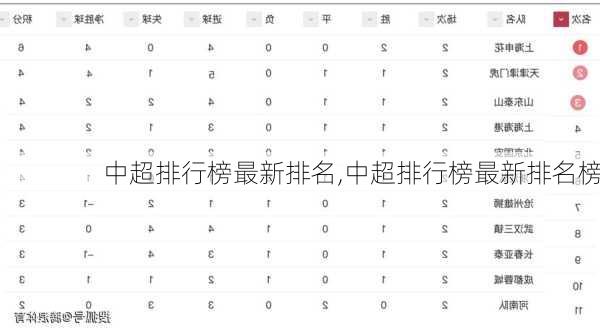 中超排行榜最新排名,中超排行榜最新排名榜