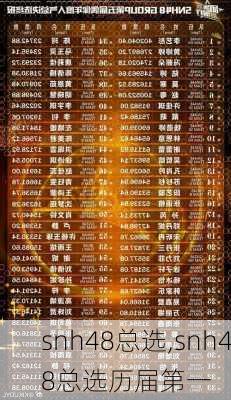 snh48总选,snh48总选历届第一