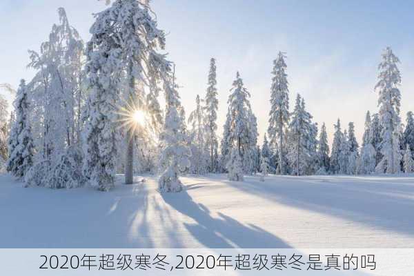 2020年超级寒冬,2020年超级寒冬是真的吗