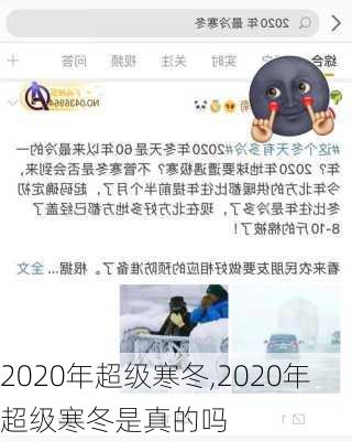 2020年超级寒冬,2020年超级寒冬是真的吗