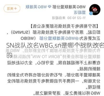 SN战队改名WBG,sn是哪个战队改名的